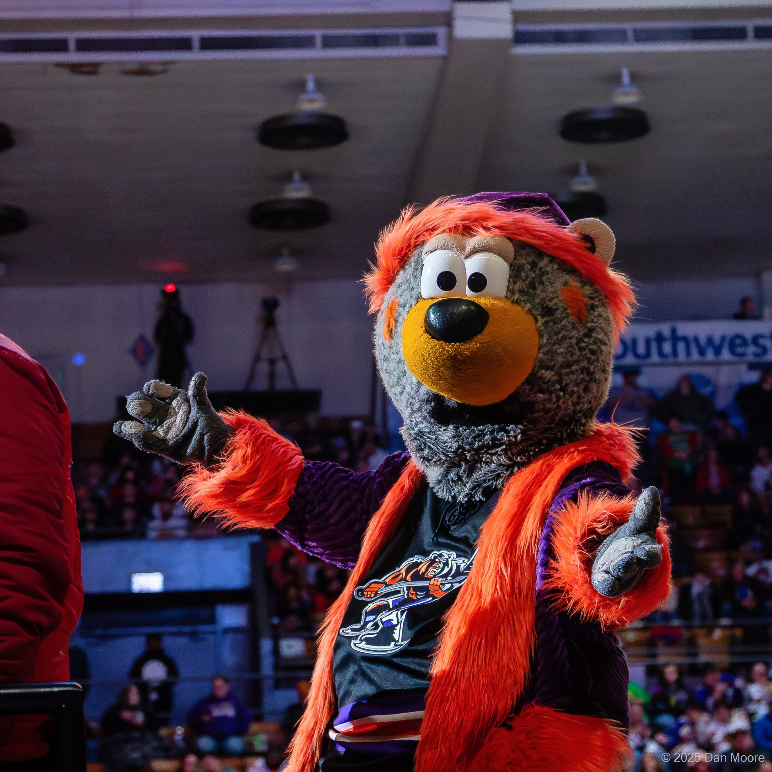 Mascot Performer