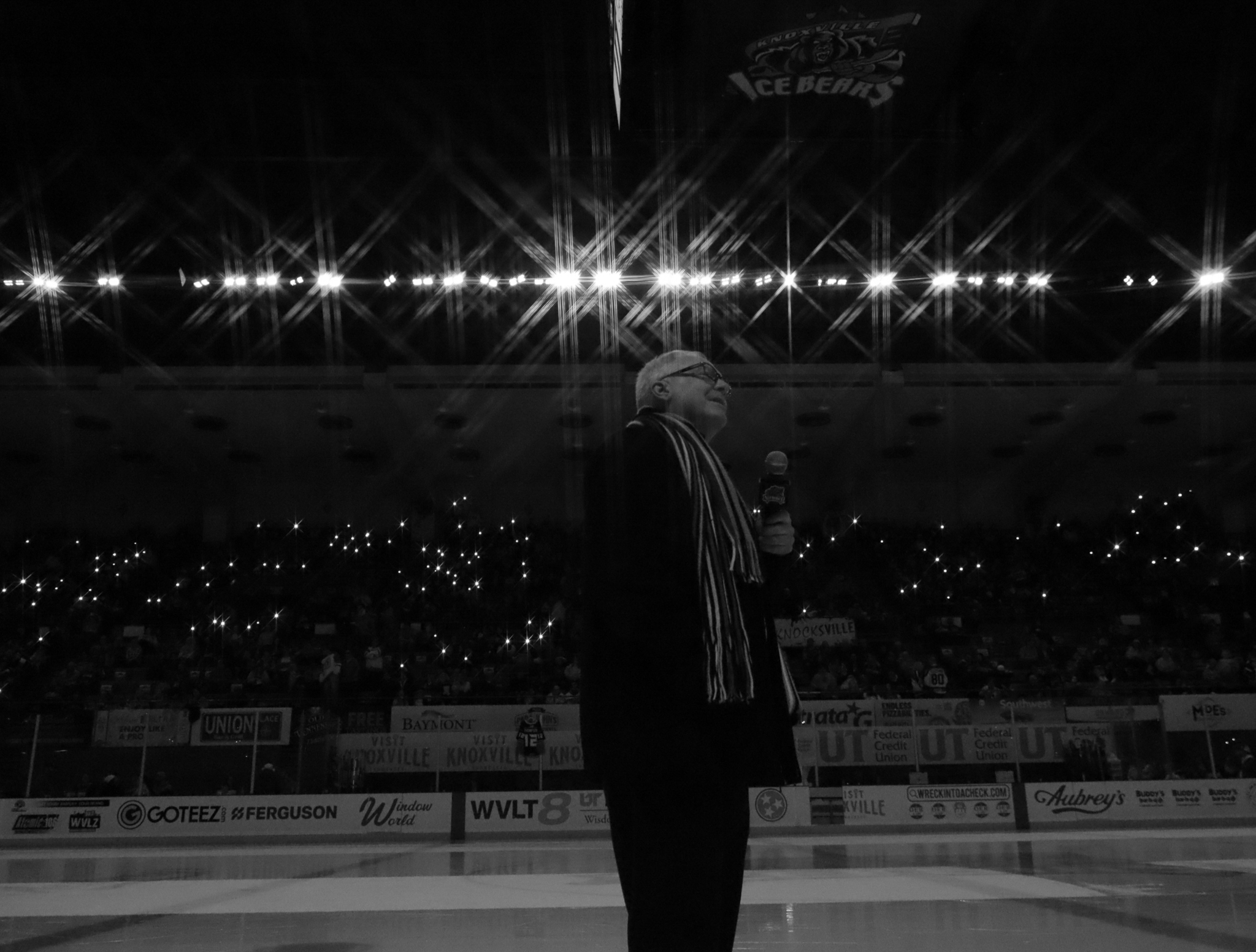 Man in the Stands