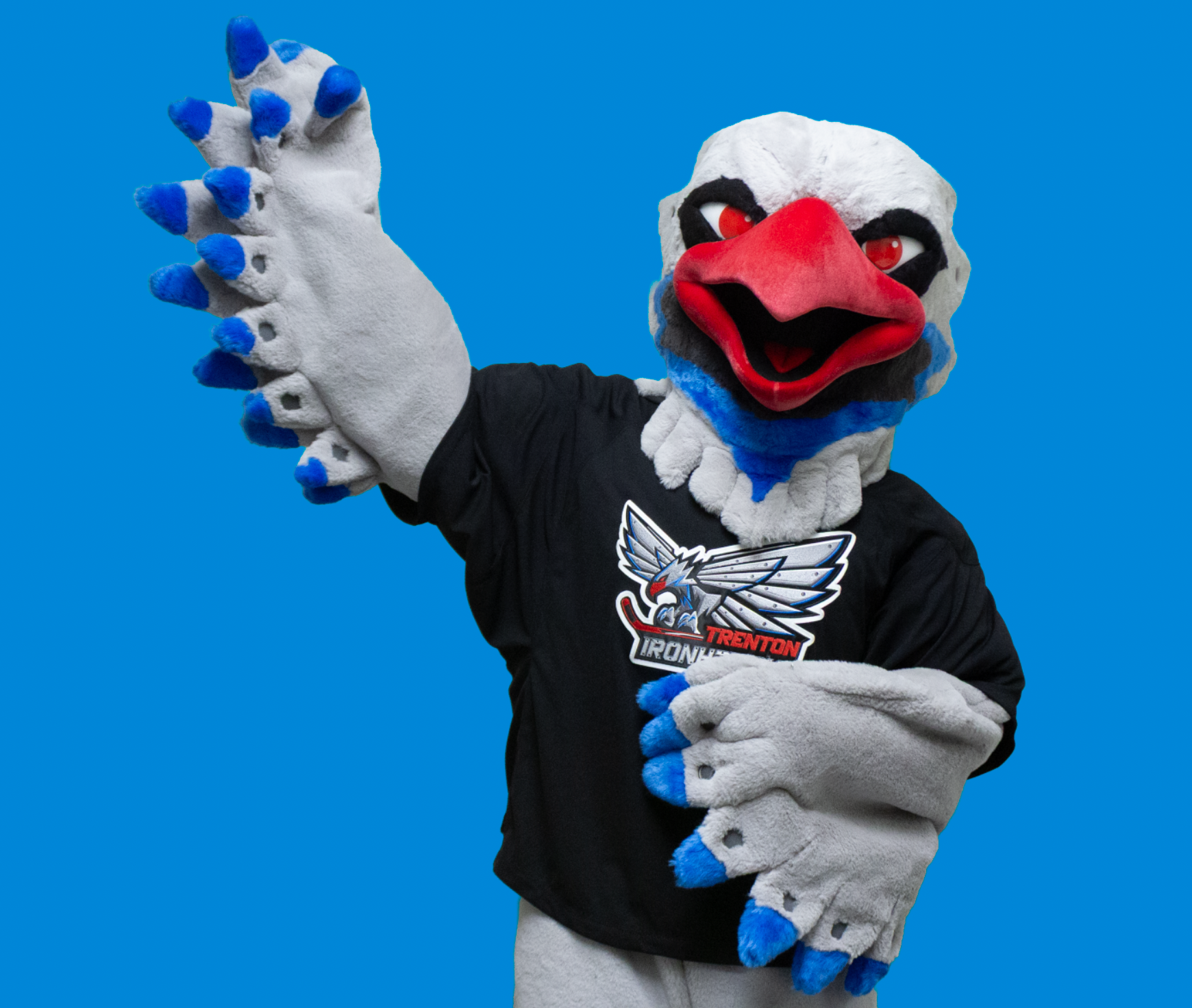 Mascot Performer - Hawkey