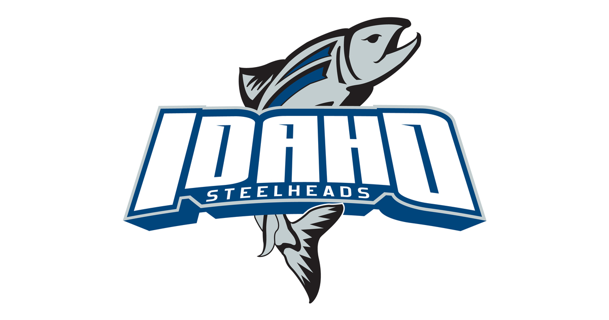digital-marketing-manager-idaho-steelheads-teamwork-online
