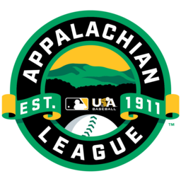 USA Baseball