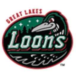 Great Lakes Loons