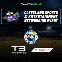 TeamWork Online