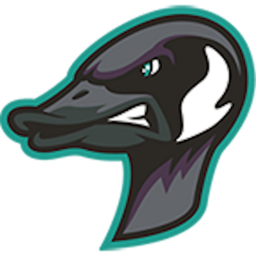 Rochester Honkers