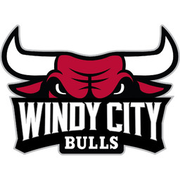 Chicago Bulls