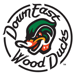 Down East Wood Ducks