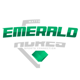 The Sports Facilities Companies