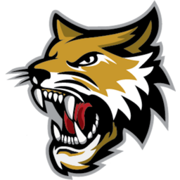 Vermilion County Bobcats