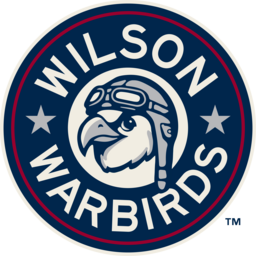 Wilson Warbirds