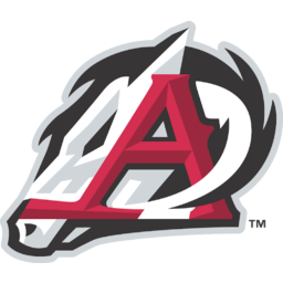 Arkansas Travelers
